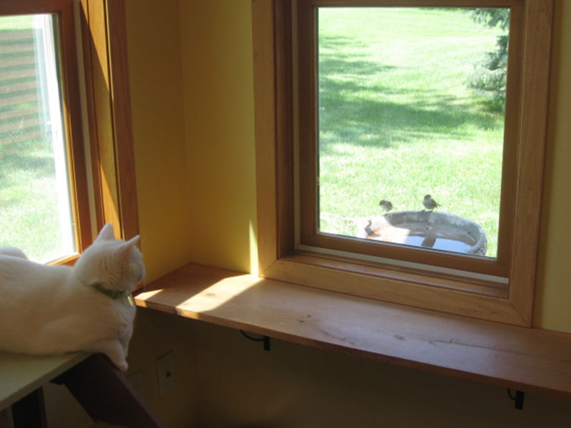 A cat sitting on top of a window sill looking out the window.